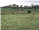 Bathurst NSW 2795