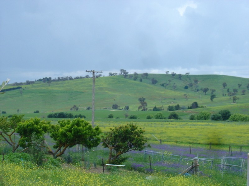 Evans Plains NSW 2795