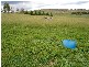 Evans Plains NSW 2795