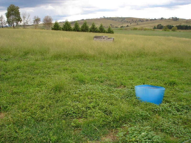 Evans Plains NSW 2795