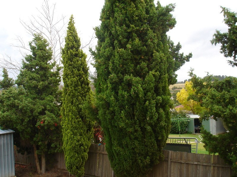Bathurst NSW 2795