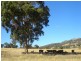 Bathurst NSW 2795