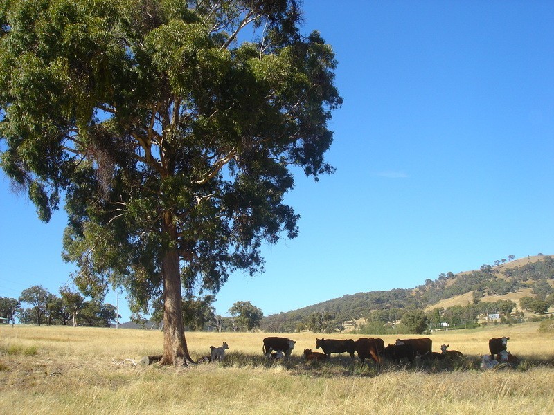 Bathurst NSW 2795
