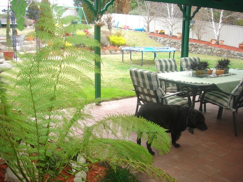Abercrombie NSW 2795