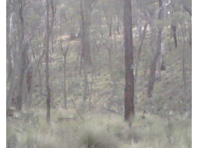 Limekilns NSW 2795