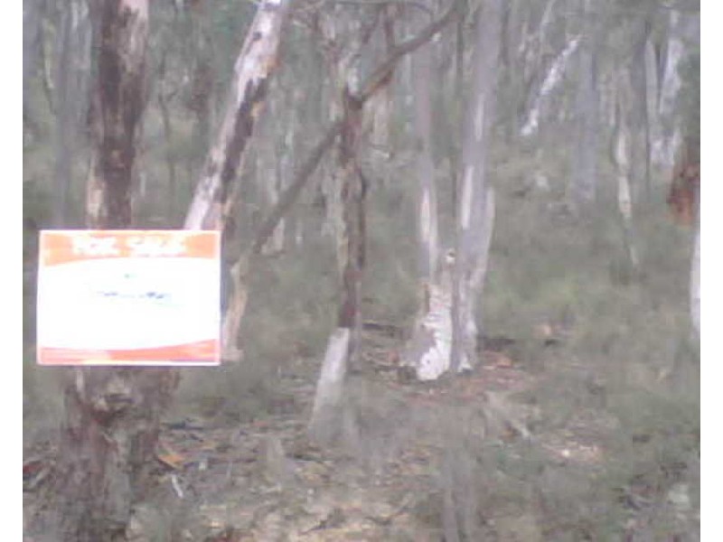 Limekilns NSW 2795