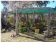 Peel NSW 2795