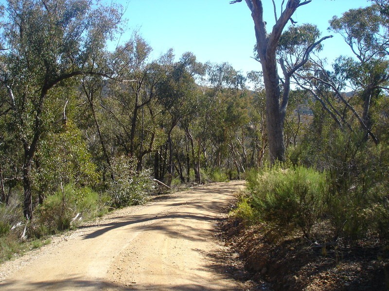 Peel NSW 2795