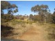 Peel NSW 2795