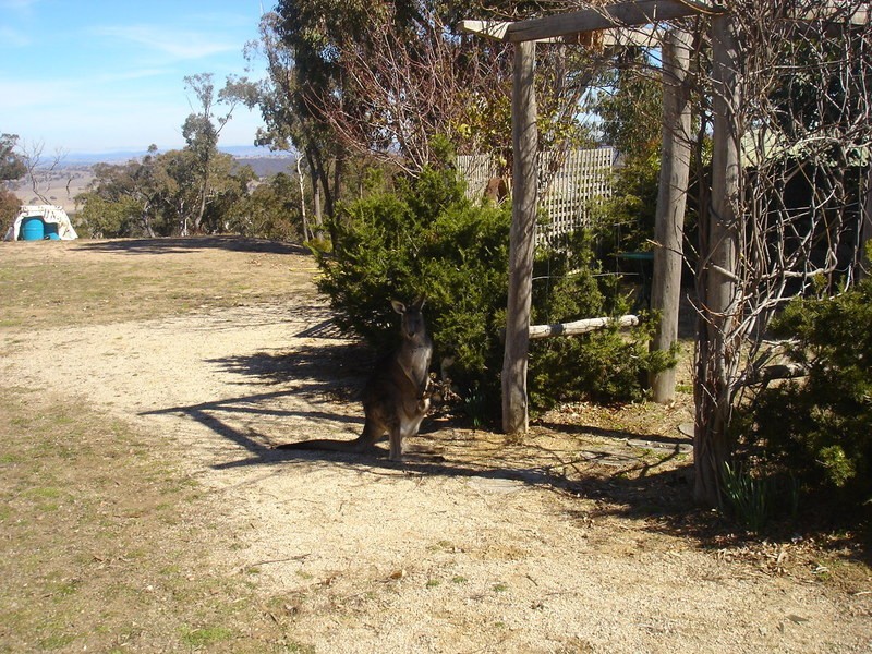 Peel NSW 2795