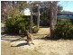 Peel NSW 2795