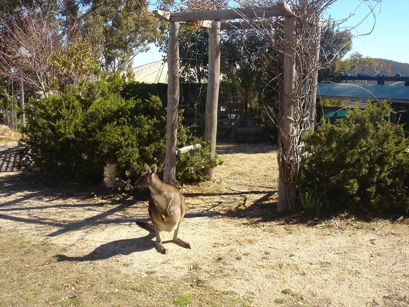 Peel NSW 2795