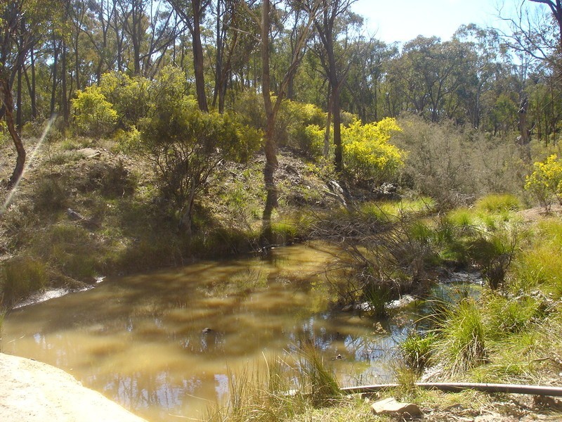 Peel NSW 2795