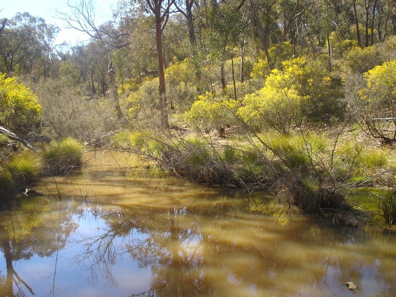 Peel NSW 2795