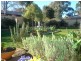 6 Boyd Street, Bathurst NSW 2795