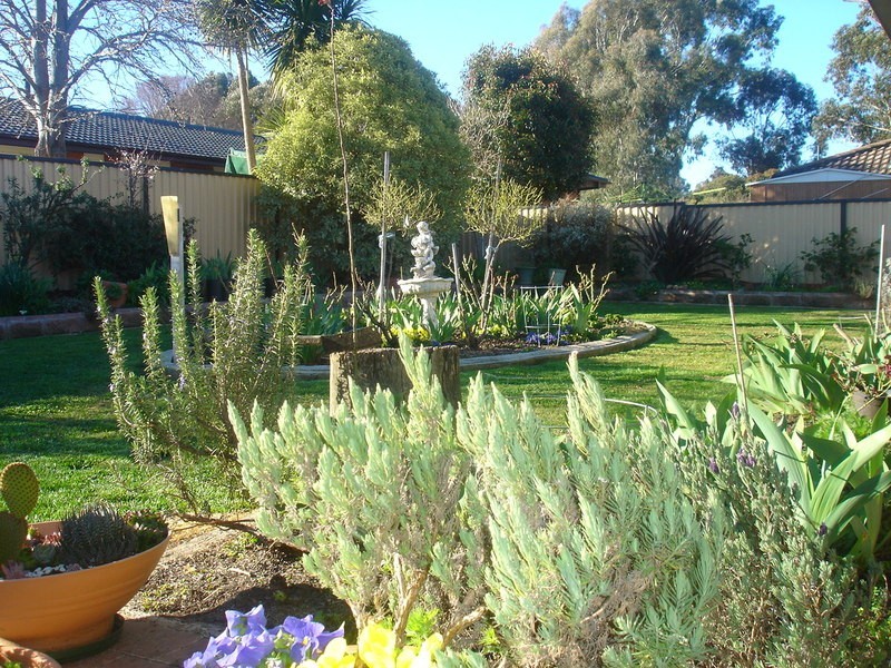 6 Boyd Street, Bathurst NSW 2795