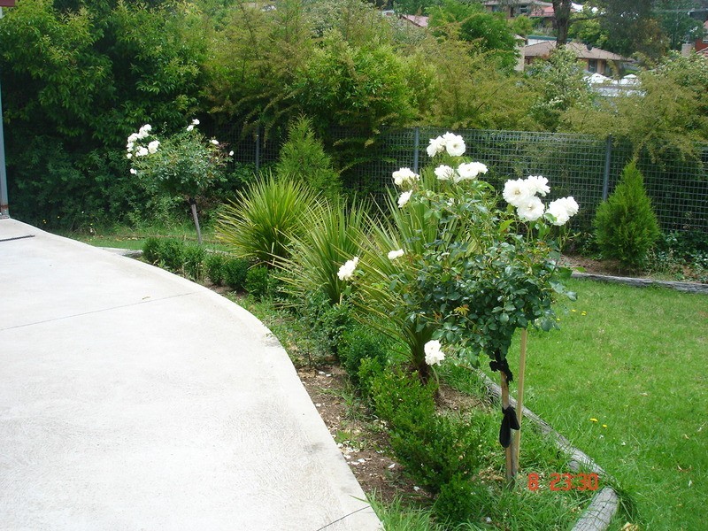Bathurst NSW 2795