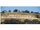 Mount Panorama NSW 2795