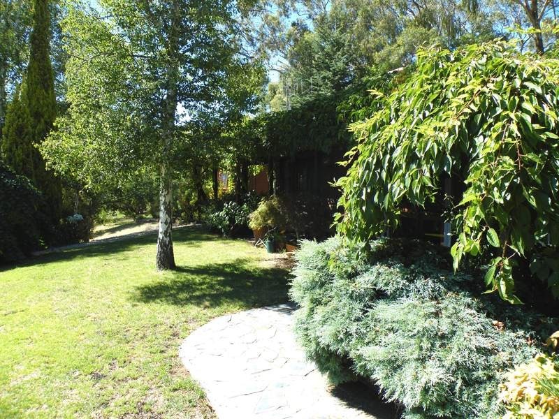 Mount Panorama NSW 2795