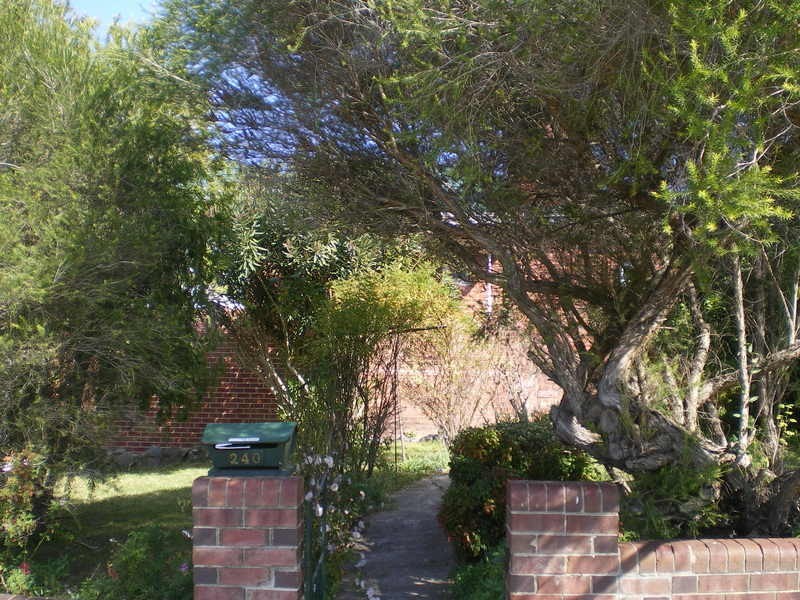 240 Lambert Street, Bathurst NSW 2795