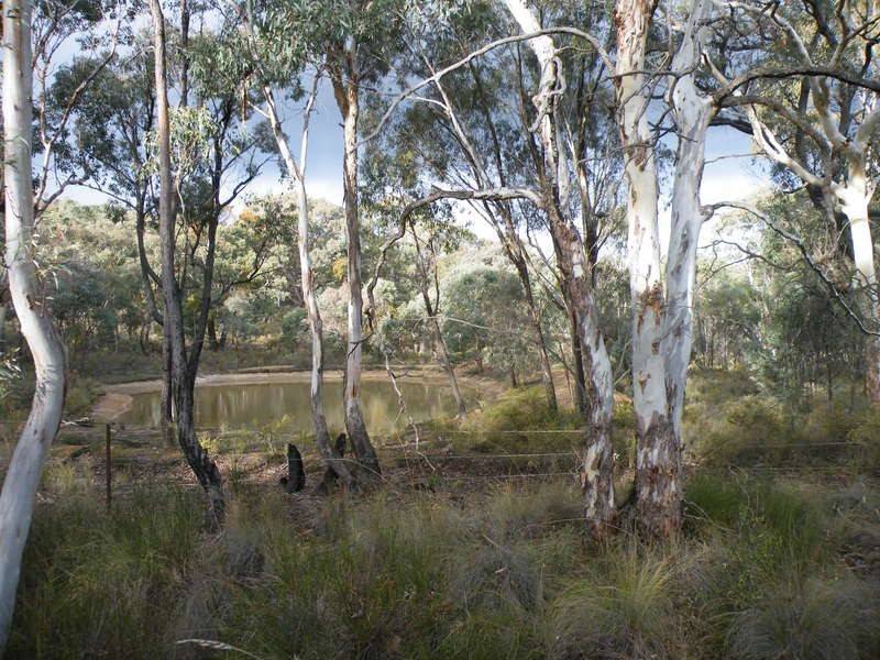 Napoleon Reef NSW 2795