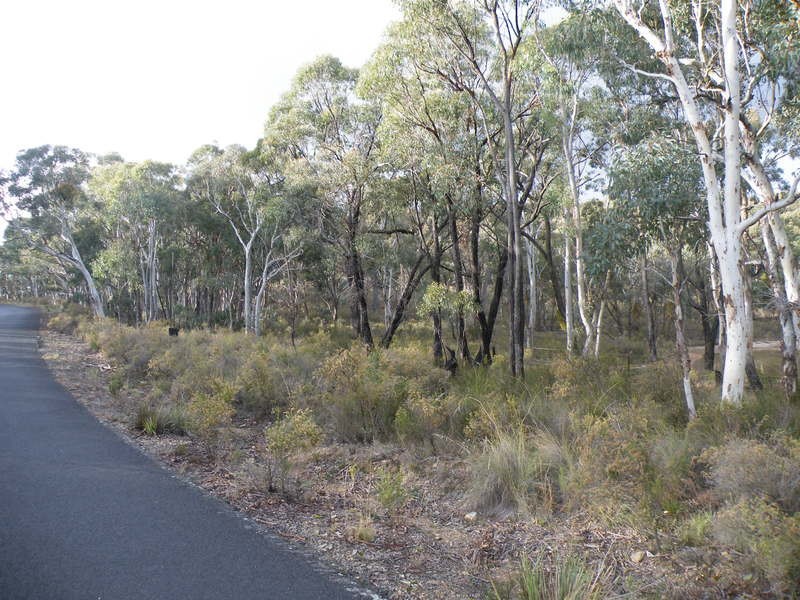 Napoleon Reef NSW 2795