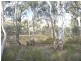 Napoleon Reef NSW 2795