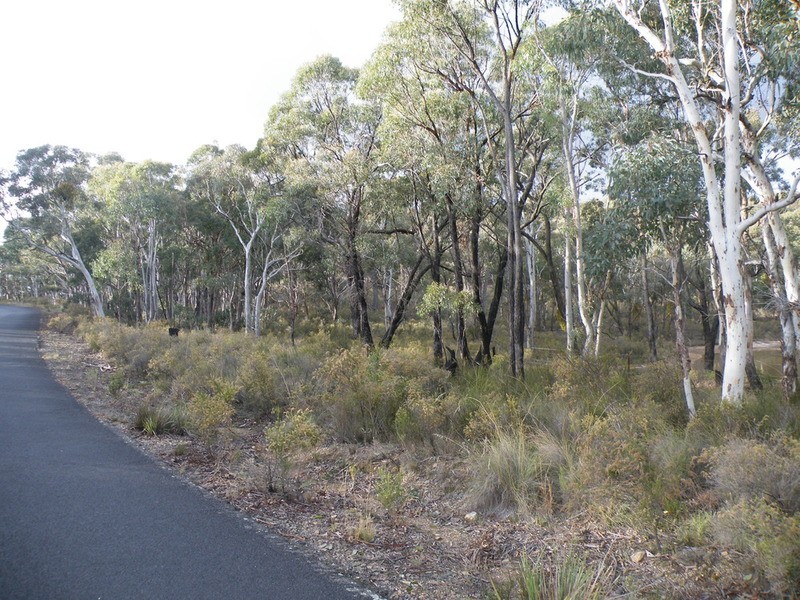 Napoleon Reef NSW 2795