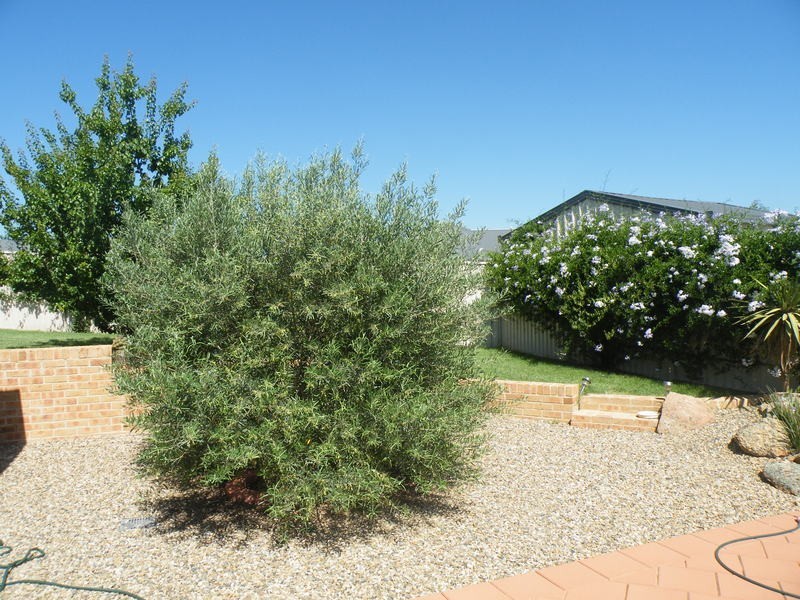 Bathurst NSW 2795