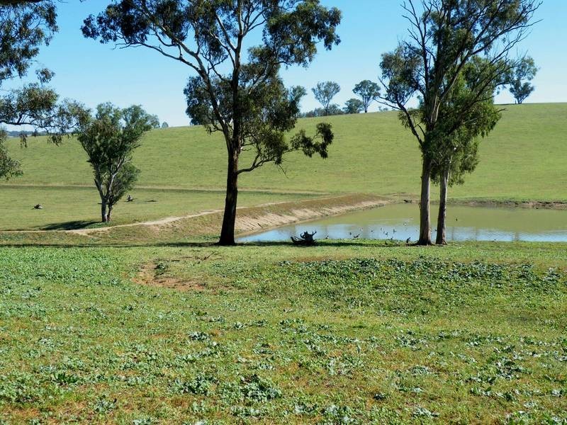 Bathurst NSW 2795