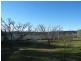 Bathurst NSW 2795