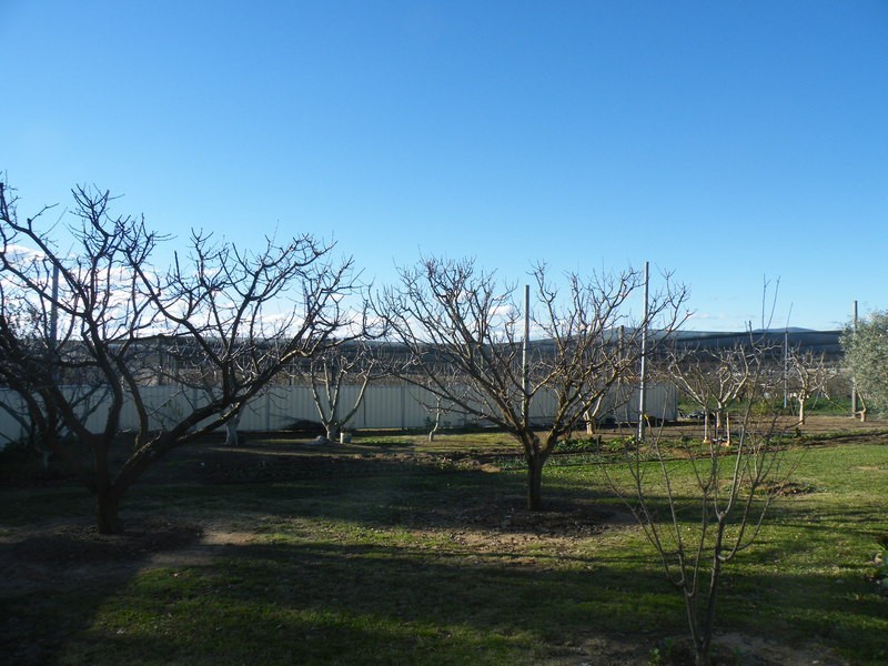 Bathurst NSW 2795