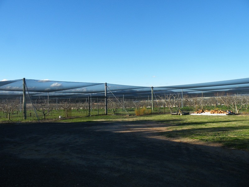 Bathurst NSW 2795