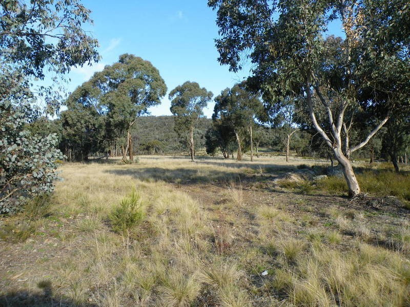 Cow Flat NSW 2795