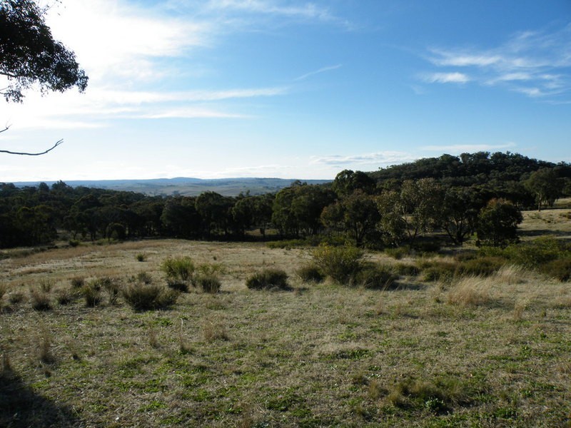 Cow Flat NSW 2795