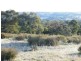 Cow Flat NSW 2795