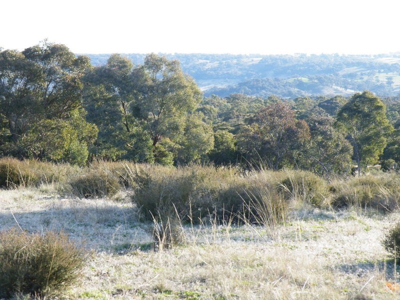 Cow Flat NSW 2795