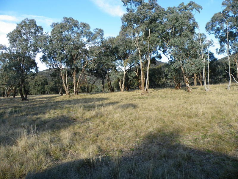 Cow Flat NSW 2795