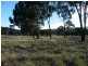 Cow Flat NSW 2795