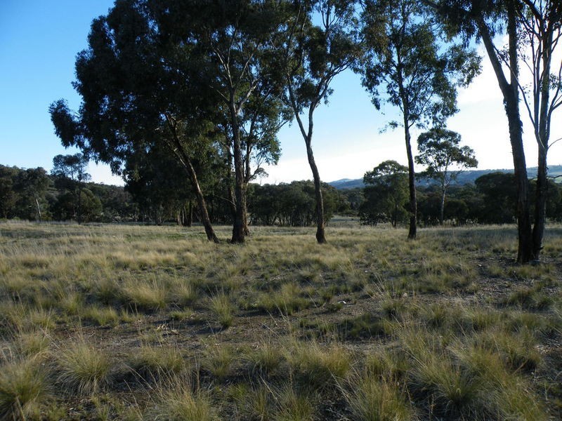 Cow Flat NSW 2795