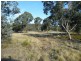 Cow Flat NSW 2795