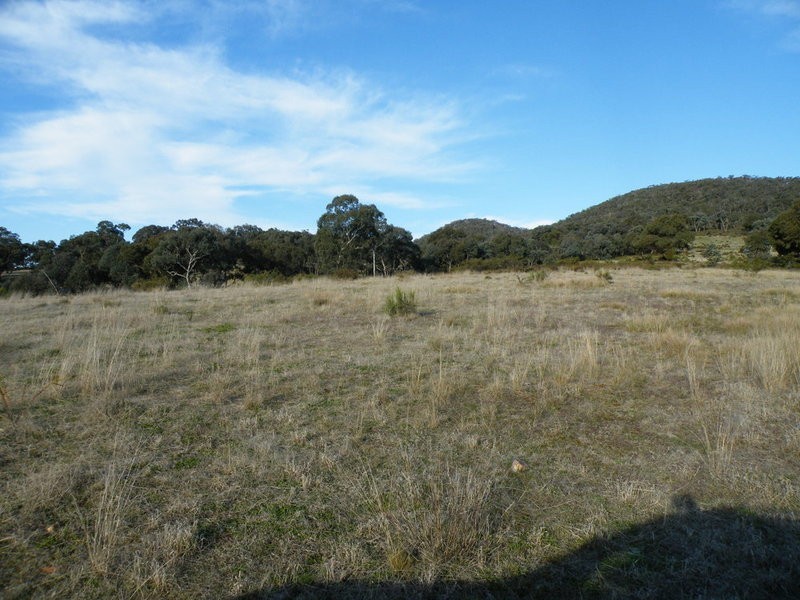 Cow Flat NSW 2795