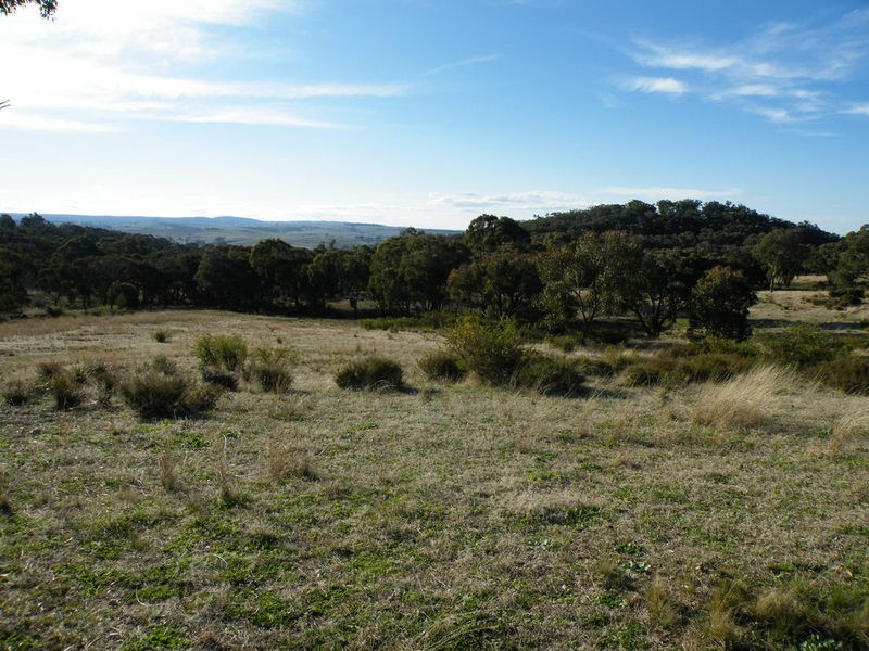 Cow Flat NSW 2795