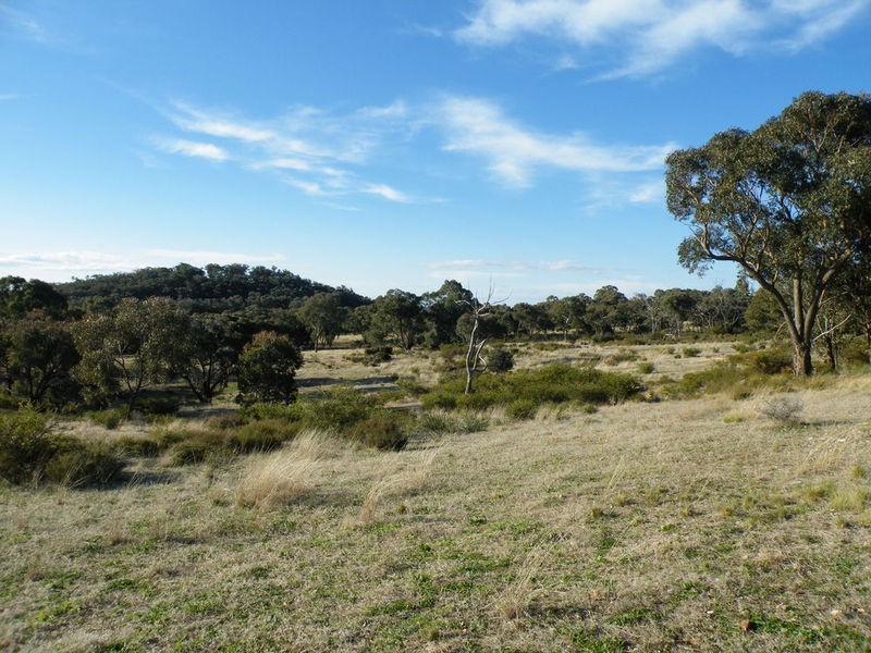 Cow Flat NSW 2795