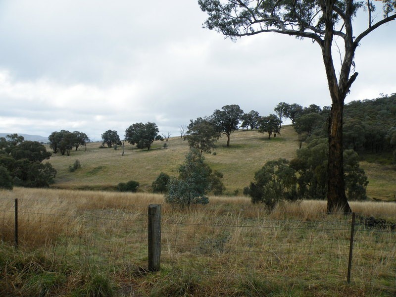 Cow Flat NSW 2795