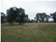 Cow Flat NSW 2795