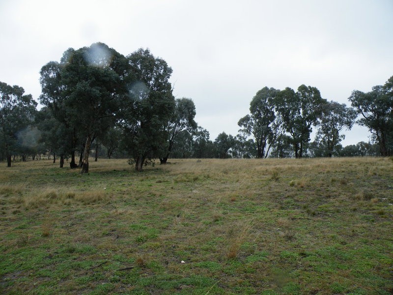 Cow Flat NSW 2795