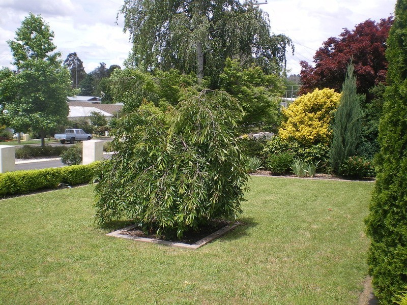 Bathurst NSW 2795