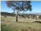 Bathurst NSW 2795