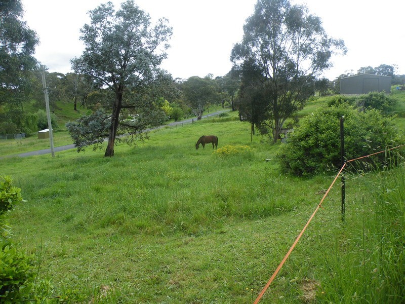 Portland NSW 2847